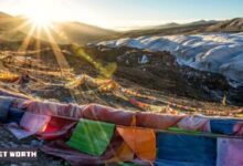 Himalayan Resting Place