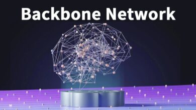 Backbone of Reliable Structures